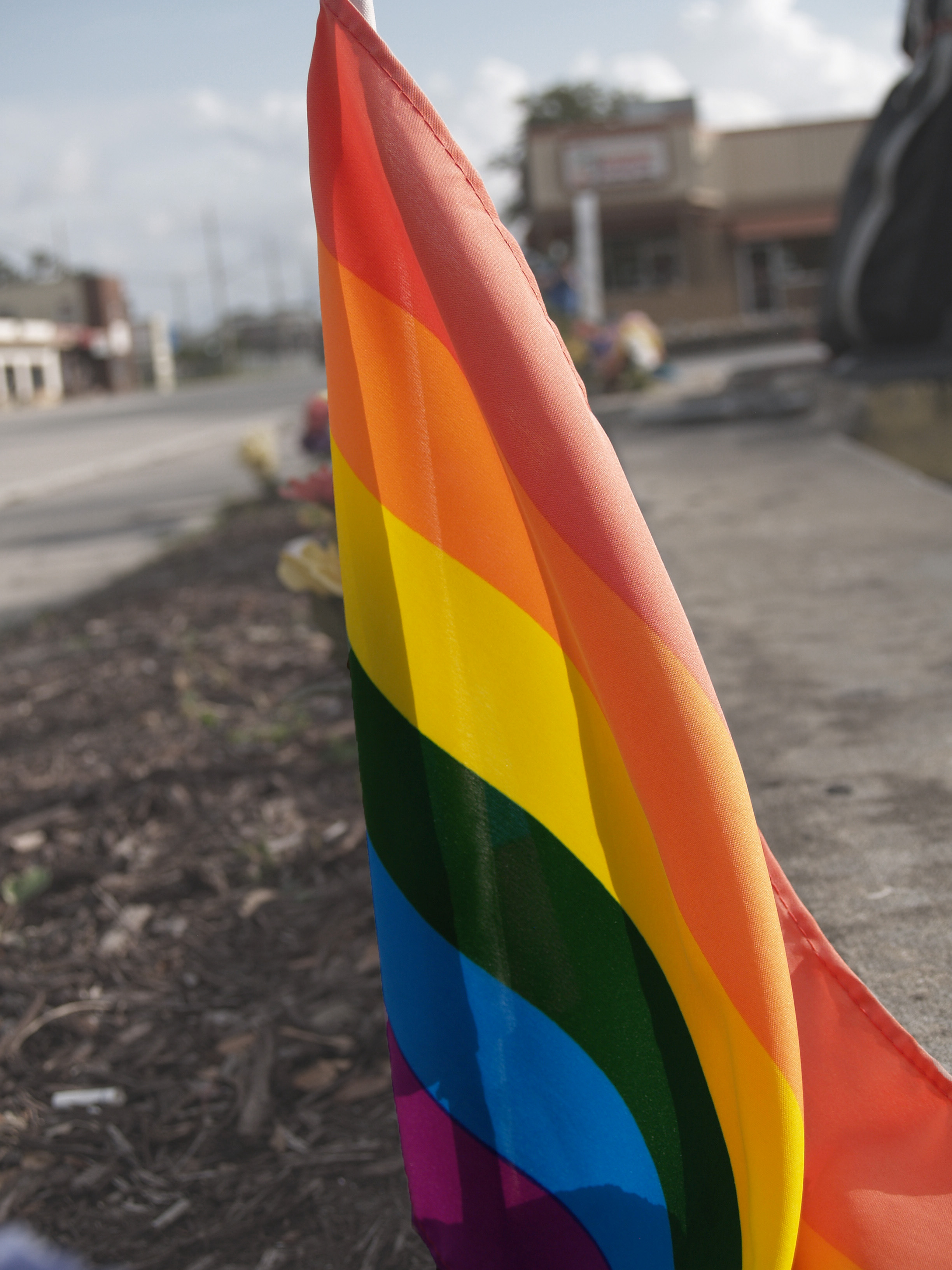 Pride 1