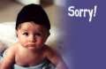 "We're Sorry" is never enough.
