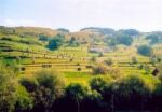 maramures07.jpg