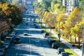 Yonge Street