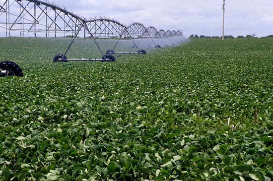 Soja RR,transgenicos,porotos,harinas,glifosato,malezas,gen EPSPS,herbicidas,Instituto Nacional de Tecnolog&iacute;a Agropecuaria,INTA,Federacion Agraria,exportaciones,China,cotizaciones,medio ambiente,biotecnologia,semillas,rastrojos,lluvia,clima,erosiones,suelos,Espacio,planetas nuevos,Galileo Galilei,telescopios,astronomia,Altar,nebulosas,estrellas,Alfa Centauro,Geoff Marcy,planetarios,links,sitios,portales,astrologia,Desforestacion,desmonte,arboles,bosques,wichis,fundaciones,proteccion medio ambiente,desertificaci&oacute;n,fuego,incendios,dsiertos,,Kibbutz Tzuba,San Juan Bautista,Biblia,Jesus,Judea,Israel,Belen,Jerusalem,excavaciones,arqueologia,descubrimientos,cuevas,Rollos Mar Muerto,Atlantida,Paul Schliemann,Platon,Critias,continente perdido,Egipto,descubrimientos,arqueologia,Atlantes,Grecia,Atlantico,busqueda,teorias,Atlantis,Paparazzi,Isabel Sartorius,Borbon,Ortiz Pati&ntilde;o,Vallejo Najera,Entrecanales,Mora Figueroa,Antonio Montero,Sainz Vicu&ntilde;a,Espa&ntilde;a,jet set,Mallorca,Ibiza,John Fitzgerald Kennedy,Lee Harvey Oswald,Vitaliy Fadeyev,Lawrence Berkeley,Carl Haber,Fidel Castro,Lyndon B. Johnson,Jackie,Onassis,Irma Roy,Carolina Papaleo,Osvaldo,diputada nacional,Congreso,Argentina,Raul Granillo Ocampo,politica,justicialismo,peronismo,cine,television,La Horqueta,San Isidro,que se vayan todos,diciembre 2001,2002,2003,2004,maria julia alsogaray,alvaros,,Roberto Mart&iacute;nez Medina,Maria Julia Alsogaray,Ra&uacute;l Granillo Ocampo,Jorge Rodr&iacute;guez,V&iacute;ctor Alderete,Claudia Bello,Angel Massa,Alfredo Yabran,Mario Pontaquarto,Nestor Carlos Kirchner,Cristina Elizabeth Fernandez,corrupcion,senado,general rodriguez,anibal,fernandez,alberto,fernando de la rua,ines pertine,eduardo duhalde,hilda chiche gonzalez,2000,2001,2002,2003,2004,Museos,www.louvre.fr,Leonardo Da Vinci,Gioconda,Mona Lisa,Italia,Francia,France,inventos,Italy,renacimiento,historia,cuadros,links,images,postcards,photos,fotos,imagenes,postales,pictures,historia,arqueologia,descubrimientos,culturales,agenda,infodiario,diario accion,buenos aires,argentina,Diario Accion de General Rodriguez, politica, actualidad, noticias e informacion, personalidades e instituciones, policiales, galerias de fotos; historia de General Rodriguez, sus origenes, edificios, estancias, habitos y costumbres, anecdotas, comercios e industrias, los fundadores, antiguas instituciones, fotos e imagenes; suplementos especiales: la crisis politica, economica y social de la Argentina, los acontecimientos de Diciembre de 2001, articulos y entrevistas; Emigracion: toda la informacion destinada a aquellos que desean emigrar, radicarse o estudiar en el exterior, visas, pasaportes, consejos, guias, informacion util, links; Trueque: novedades e informacion, links, estructura del trueque; el casamiento de Maxima Zorreguieta y el principe Guillermo Alejandro de Holanda; Guerra de Afganistan: galeria de imagenes e informacion sobre la primera guerra del siglo XXI; la guerra de Irak, Bagdad, Georges W. Bush, Saddam Husseim, el atentado a las torres Gemelas de Nueva York, las twin towers, el 11-s, y descripcion del hecho que conmovio al mundo; Empleo: consultoras, clasificados, agencias de empleo, consejos e informacion util, curriculum vitae, como confeccionarlos, noticias de actualidad; 
Los numeros de la crisis: Las consecuencias de la crisis politica, economica y social; estadisticas, pobreza, desnutricion, salud y asistencia; noticias regionales y provinciales, columnas y editoriales; informacion para negocios: pymes, links, empresas y negocios; Agenda Cultural con toda la informacion de cursos, universidades, talleres, escuelas y oportunidades, exposiciones de arte de la region; buscadores en Internet, Enlaces: links a los mejores sitios de educacion, cultura, arte, biografias, politica, interes general, web, Links del Diario Accion: RMS Titanic, su historia, su tragico viaje inaugural; historias, testimonios, documentos y articulos sobre el naufragio; links y sitios sobre el tema; la pelicula de Cameron, fotos e imagenes; suplementos especiales, Historia Argentina y de General Rodriguez, la llegada de la democracia en General Rodriguez, la asuncion de Juan Lumbreras como intendente en 1983, galeria de imagenes, sus palabras y los actos, su gabinete, festejos de la comunidad. Fundacion del pueblo de General Rodriguez, sus instituciones y personalidades relevantes, arquitectura y edificios, comercios e industrias, sus comienzos, estancias, inmigraciones italianas, espa&ntilde;olas, vascas e irlandesas, anecdotas y efemerides, sus hombres ilustres, el Hospital Vicente Lopez y Planes, su fundacion por las Damas de Beneficencia, el hundimiento del crucero General Belgrano, testimonios de ex combatientes y tripulantes, su comandante Hector Elias Bonzo, fotos e imagenes, recuerdos y homenajes, historia de la familia Bonzo de General Rodriguez, entrevistas y articulos periodisticos. La guerra de Malvinas en el Atlantico Sur, el conflicto belico con Gran Breta&ntilde;a de 1982, politicos relevantes, Benjamin Paez y Trueba, fotos antiguas de familias fundadoras, galerias de imagenes de pobladores, recorrida virtual por el antiguo General Rodriguez, el paso de la Infanta en 1910, historia de La Serenisima, la familia Mastellone, La Choza, Bernardo de Irigoyen, peronismo y radicalismo y muchisimo mas