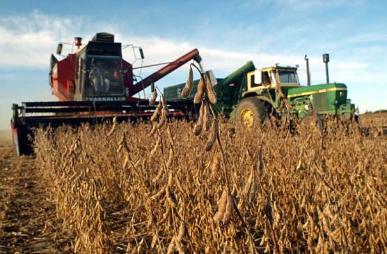 Soja RR,transgenicos,porotos,harinas,glifosato,malezas,gen EPSPS,herbicidas,Instituto Nacional de Tecnolog&iacute;a Agropecuaria,INTA,Federacion Agraria,exportaciones,China,cotizaciones,medio ambiente,biotecnologia,semillas,rastrojos,lluvia,clima,erosiones,suelos,Espacio,planetas nuevos,Galileo Galilei,telescopios,astronomia,Altar,nebulosas,estrellas,Alfa Centauro,Geoff Marcy,planetarios,links,sitios,portales,astrologia,Desforestacion,desmonte,arboles,bosques,wichis,fundaciones,proteccion medio ambiente,desertificaci&oacute;n,fuego,incendios,dsiertos,,Kibbutz Tzuba,San Juan Bautista,Biblia,Jesus,Judea,Israel,Belen,Jerusalem,excavaciones,arqueologia,descubrimientos,cuevas,Rollos Mar Muerto,Atlantida,Paul Schliemann,Platon,Critias,continente perdido,Egipto,descubrimientos,arqueologia,Atlantes,Grecia,Atlantico,busqueda,teorias,Atlantis,Paparazzi,Isabel Sartorius,Borbon,Ortiz Pati&ntilde;o,Vallejo Najera,Entrecanales,Mora Figueroa,Antonio Montero,Sainz Vicu&ntilde;a,Espa&ntilde;a,jet set,Mallorca,Ibiza,John Fitzgerald Kennedy,Lee Harvey Oswald,Vitaliy Fadeyev,Lawrence Berkeley,Carl Haber,Fidel Castro,Lyndon B. Johnson,Jackie,Onassis,Irma Roy,Carolina Papaleo,Osvaldo,diputada nacional,Congreso,Argentina,Raul Granillo Ocampo,politica,justicialismo,peronismo,cine,television,La Horqueta,San Isidro,que se vayan todos,diciembre 2001,2002,2003,2004,maria julia alsogaray,alvaros,,Roberto Mart&iacute;nez Medina,Maria Julia Alsogaray,Ra&uacute;l Granillo Ocampo,Jorge Rodr&iacute;guez,V&iacute;ctor Alderete,Claudia Bello,Angel Massa,Alfredo Yabran,Mario Pontaquarto,Nestor Carlos Kirchner,Cristina Elizabeth Fernandez,corrupcion,senado,general rodriguez,anibal,fernandez,alberto,fernando de la rua,ines pertine,eduardo duhalde,hilda chiche gonzalez,2000,2001,2002,2003,2004,Museos,www.louvre.fr,Leonardo Da Vinci,Gioconda,Mona Lisa,Italia,Francia,France,inventos,Italy,renacimiento,historia,cuadros,links,images,postcards,photos,fotos,imagenes,postales,pictures,historia,arqueologia,descubrimientos,culturales,agenda,infodiario,diario accion,buenos aires,argentina,Diario Accion de General Rodriguez, politica, actualidad, noticias e informacion, personalidades e instituciones, policiales, galerias de fotos; historia de General Rodriguez, sus origenes, edificios, estancias, habitos y costumbres, anecdotas, comercios e industrias, los fundadores, antiguas instituciones, fotos e imagenes; suplementos especiales: la crisis politica, economica y social de la Argentina, los acontecimientos de Diciembre de 2001, articulos y entrevistas; Emigracion: toda la informacion destinada a aquellos que desean emigrar, radicarse o estudiar en el exterior, visas, pasaportes, consejos, guias, informacion util, links; Trueque: novedades e informacion, links, estructura del trueque; el casamiento de Maxima Zorreguieta y el principe Guillermo Alejandro de Holanda; Guerra de Afganistan: galeria de imagenes e informacion sobre la primera guerra del siglo XXI; la guerra de Irak, Bagdad, Georges W. Bush, Saddam Husseim, el atentado a las torres Gemelas de Nueva York, las twin towers, el 11-s, y descripcion del hecho que conmovio al mundo; Empleo: consultoras, clasificados, agencias de empleo, consejos e informacion util, curriculum vitae, como confeccionarlos, noticias de actualidad; 
Los numeros de la crisis: Las consecuencias de la crisis politica, economica y social; estadisticas, pobreza, desnutricion, salud y asistencia; noticias regionales y provinciales, columnas y editoriales; informacion para negocios: pymes, links, empresas y negocios; Agenda Cultural con toda la informacion de cursos, universidades, talleres, escuelas y oportunidades, exposiciones de arte de la region; buscadores en Internet, Enlaces: links a los mejores sitios de educacion, cultura, arte, biografias, politica, interes general, web, Links del Diario Accion: RMS Titanic, su historia, su tragico viaje inaugural; historias, testimonios, documentos y articulos sobre el naufragio; links y sitios sobre el tema; la pelicula de Cameron, fotos e imagenes; suplementos especiales, Historia Argentina y de General Rodriguez, la llegada de la democracia en General Rodriguez, la asuncion de Juan Lumbreras como intendente en 1983, galeria de imagenes, sus palabras y los actos, su gabinete, festejos de la comunidad. Fundacion del pueblo de General Rodriguez, sus instituciones y personalidades relevantes, arquitectura y edificios, comercios e industrias, sus comienzos, estancias, inmigraciones italianas, espa&ntilde;olas, vascas e irlandesas, anecdotas y efemerides, sus hombres ilustres, el Hospital Vicente Lopez y Planes, su fundacion por las Damas de Beneficencia, el hundimiento del crucero General Belgrano, testimonios de ex combatientes y tripulantes, su comandante Hector Elias Bonzo, fotos e imagenes, recuerdos y homenajes, historia de la familia Bonzo de General Rodriguez, entrevistas y articulos periodisticos. La guerra de Malvinas en el Atlantico Sur, el conflicto belico con Gran Breta&ntilde;a de 1982, politicos relevantes, Benjamin Paez y Trueba, fotos antiguas de familias fundadoras, galerias de imagenes de pobladores, recorrida virtual por el antiguo General Rodriguez, el paso de la Infanta en 1910, historia de La Serenisima, la familia Mastellone, La Choza, Bernardo de Irigoyen, peronismo y radicalismo y muchisimo mas