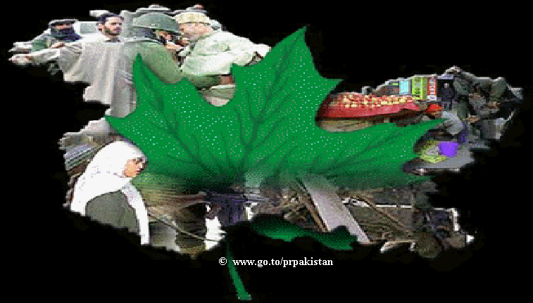 Click here to enlarge