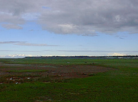 panning still further northward