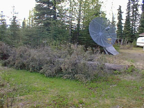 satellite dish in neighbor's yard