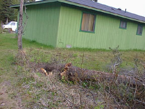 back of our house