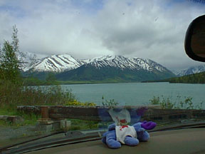 PurpleMoose at Kenai Lake