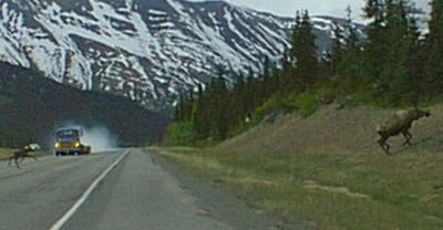 a narrowed view of same