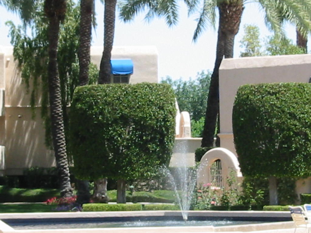 Reflecting Pool