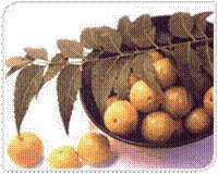 amla