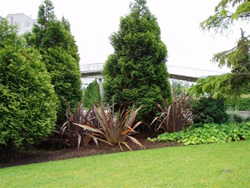 jardineria