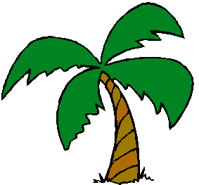 Palm Tree