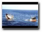 [Click to enlarge]