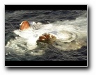 [Click to enlarge]