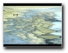 [Click to enlarge]