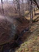 IMG_8012.JPG
