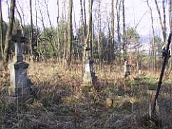 IMG_8026.JPG