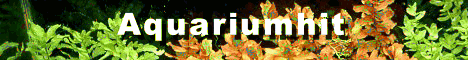 banner.GIF (2826 bytes)