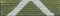 Invasion Ribbon
