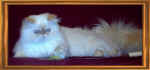 Wild Fire003.jpg (41592 bytes)