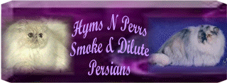 Image of banner.gif