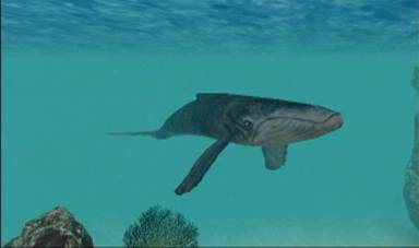screenshot 123