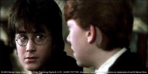 Harry Potter(Dan Radcliffe) and Ron Weasley(Rupert Grint)