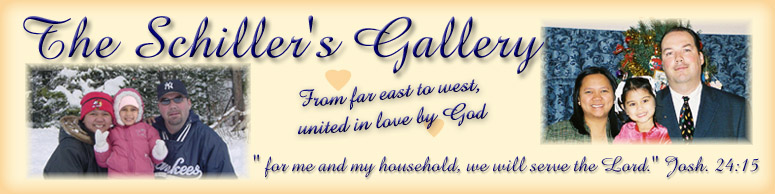 The Schiller's Gallery
