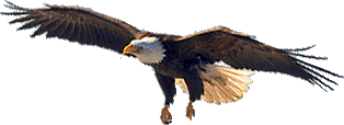 The Eagle - The Book of Psalms -- see The Essential Christian .com