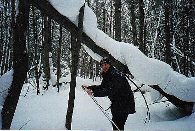russianski2.jpg (13558 bytes)