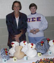 faculty advisor