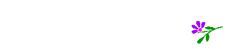 flowerbcp.gif (9115 Byte)