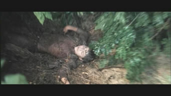 Cadaver quieto