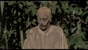 zombi