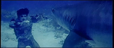 zombi vs tiburon