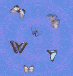Background #16