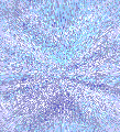 Background #19