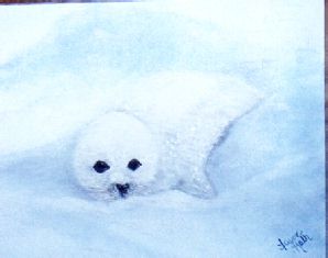 Seal in the snow