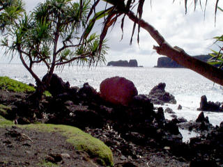 Road to Hana