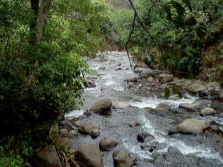 Iao Valley