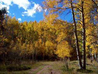 Willow Creek Trail