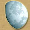 the moon 