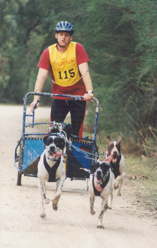3dog.jpg (85205 bytes)
