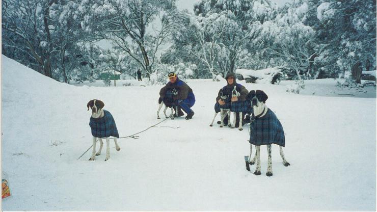 dogcoats.jpg (119403 bytes)