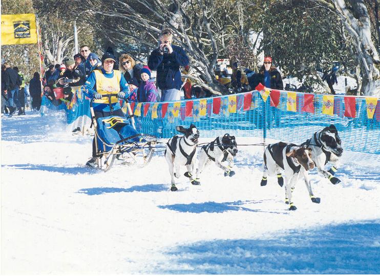 snow.jpg (306904 bytes)