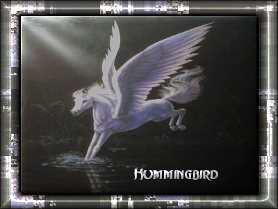 Hummingbird