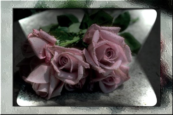 MistyTeaRose