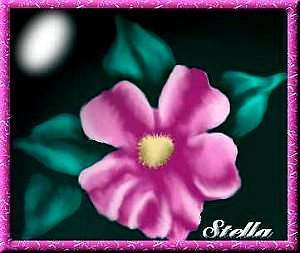 Stella's Painted Flower