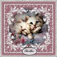 Stella