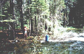 Over the river and through the woods